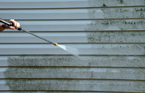 Best Roof Washing  in Mcgaheysville, VA